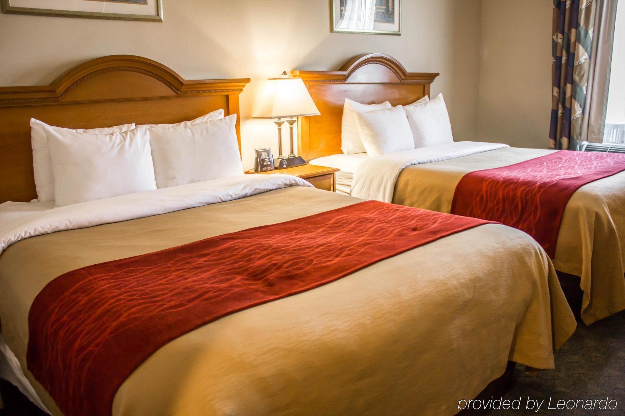 Comfort Inn Jfk Airport New York Exterior foto